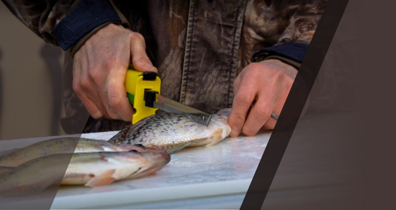 How to Fillet Fish with an Electric Knife