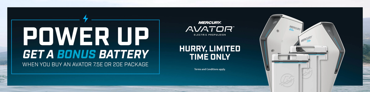 Avator Bonus Battery Promotion