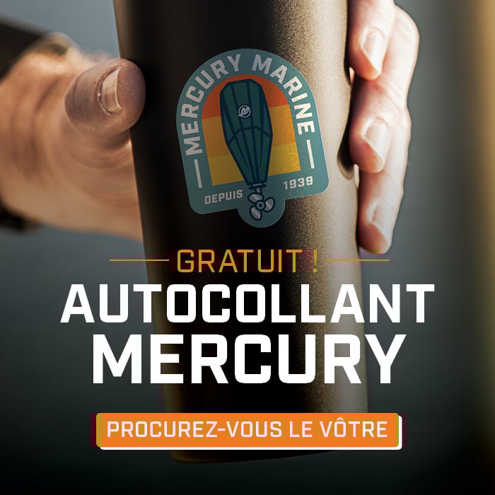 Free Sticker