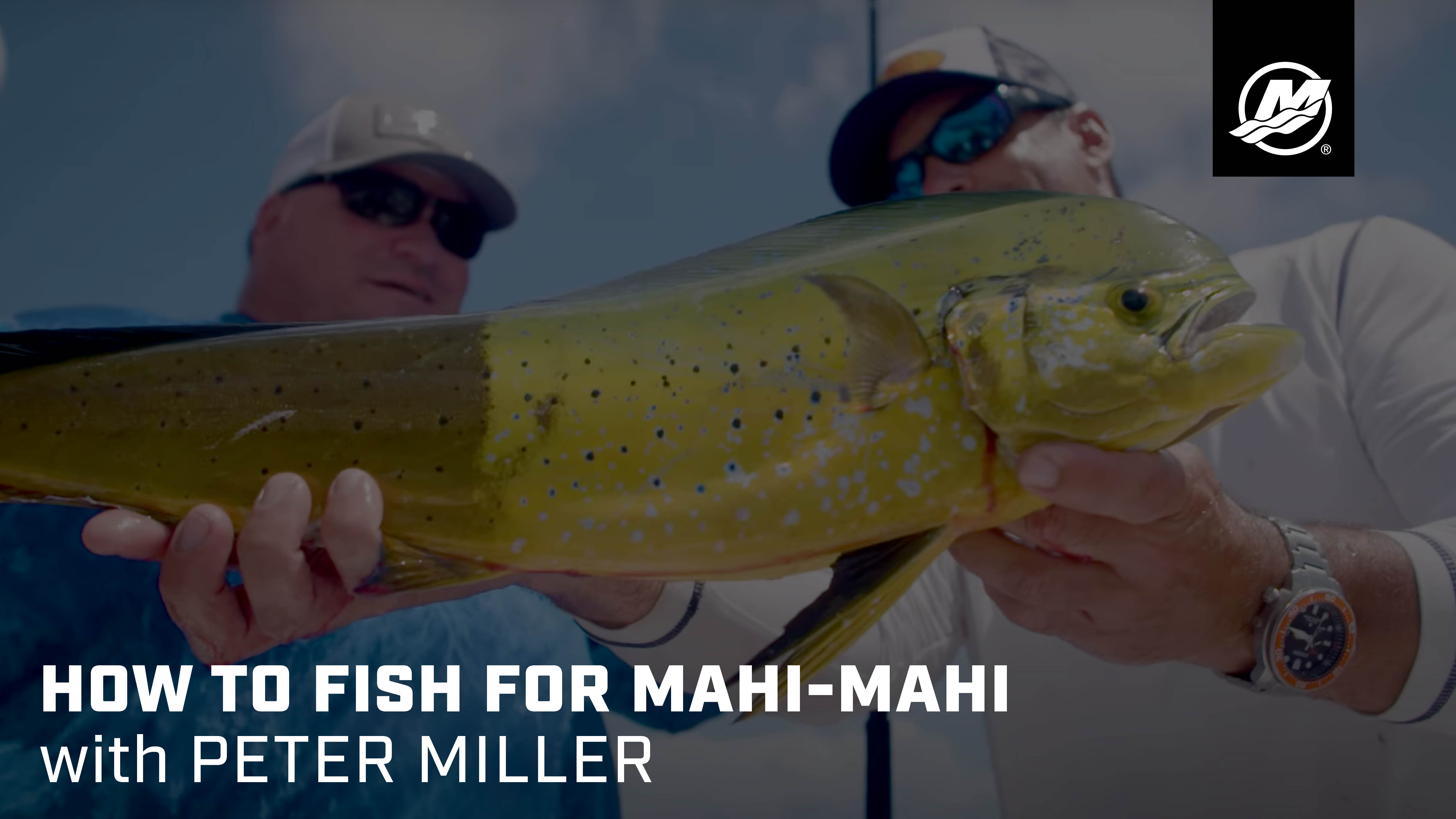 How To Fish for MahiMahi