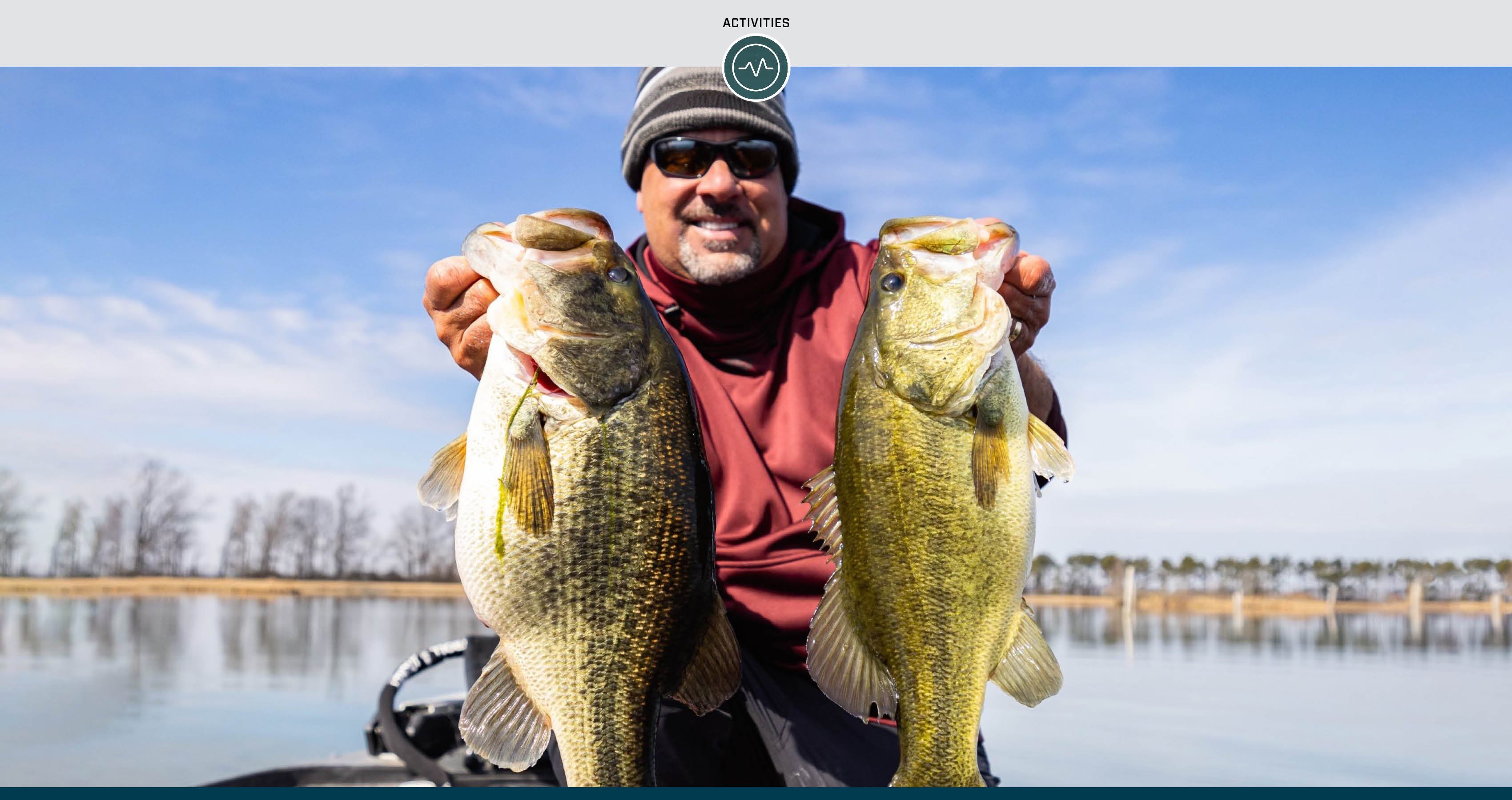 Zona’s Best Bass Bait for Cold Water