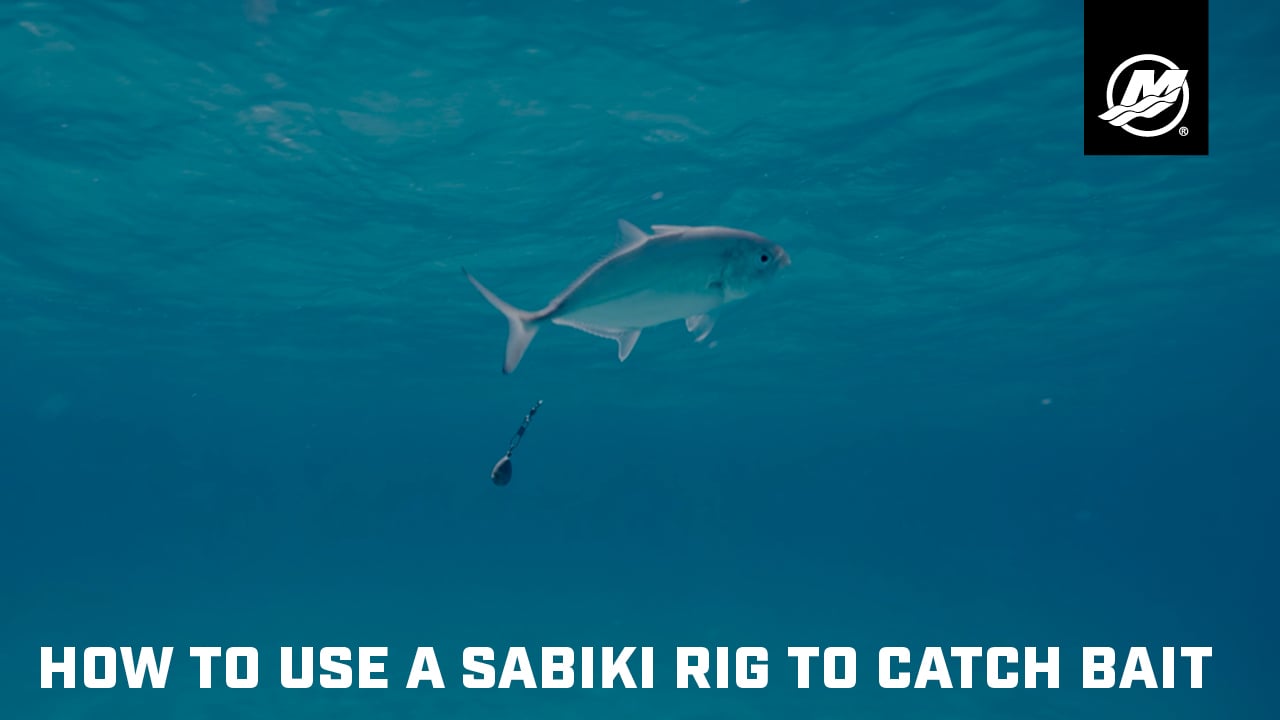 How to Use a Sabiki Rig to Catch Bait