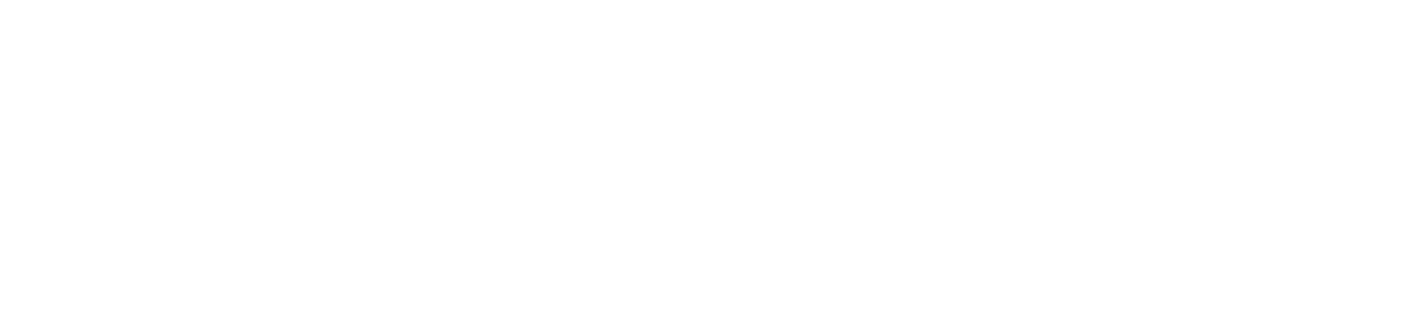 Quicksilver Logo