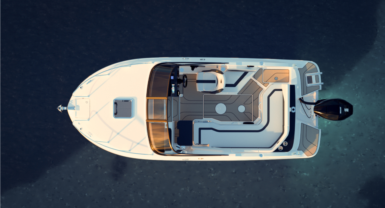 Bayliner C21 mit Mercury F 225PS