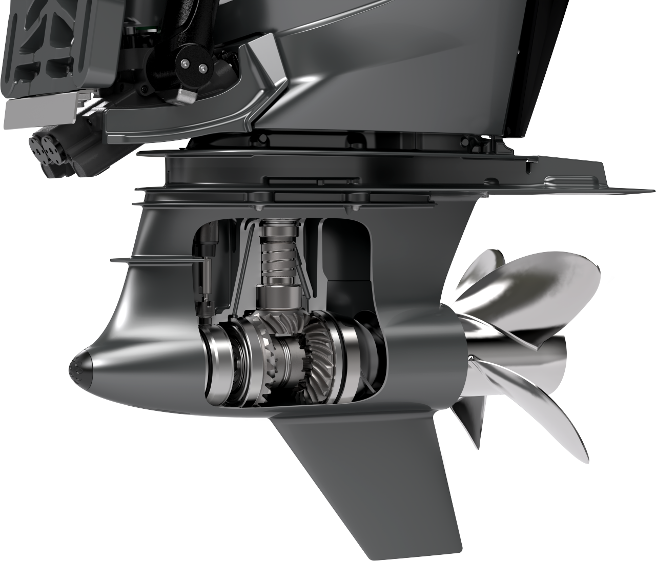 Gearcase cut away