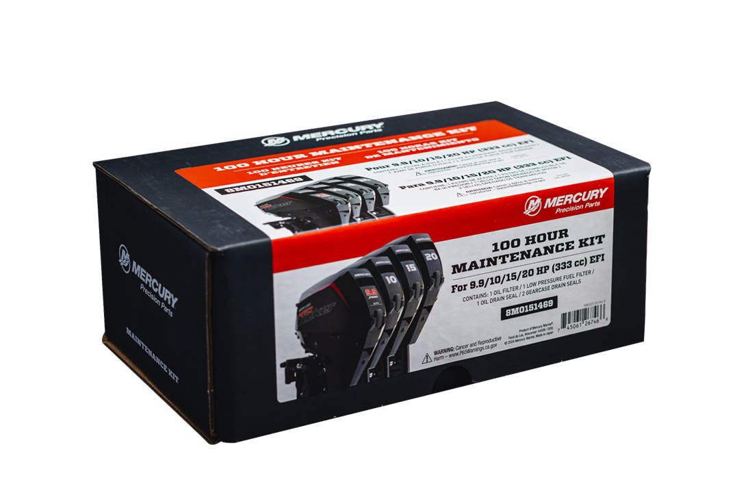 mercury marine 100 hour oil change kit