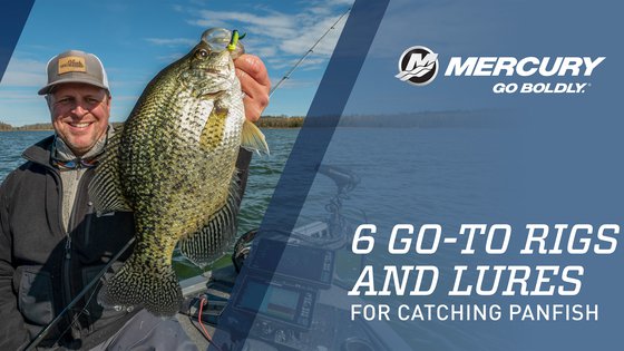 6 Go-To Rigs and Lures for Catching Panfish