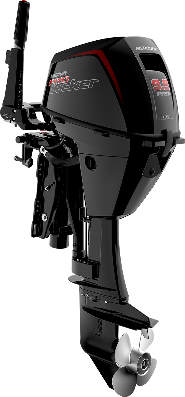FourStroke 9.9HP
