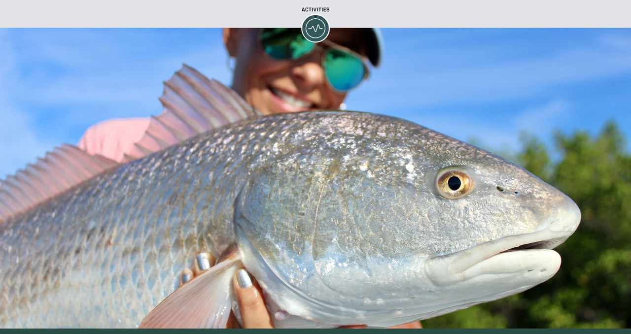 When and How to Catch Redfish on Weedless Spoons