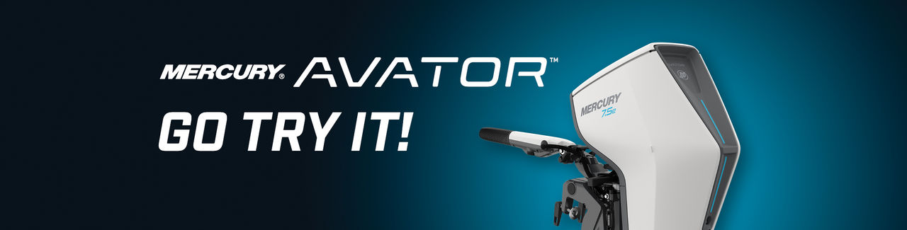 Avator