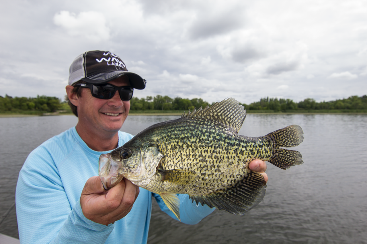 Filleting crappie deals
