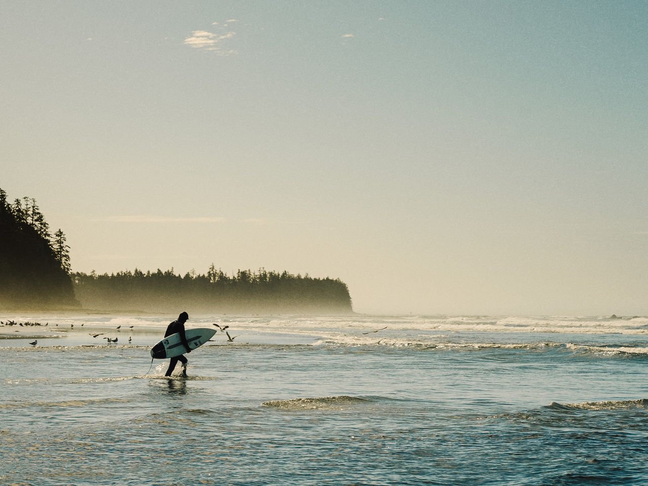 Escape North - Surfing