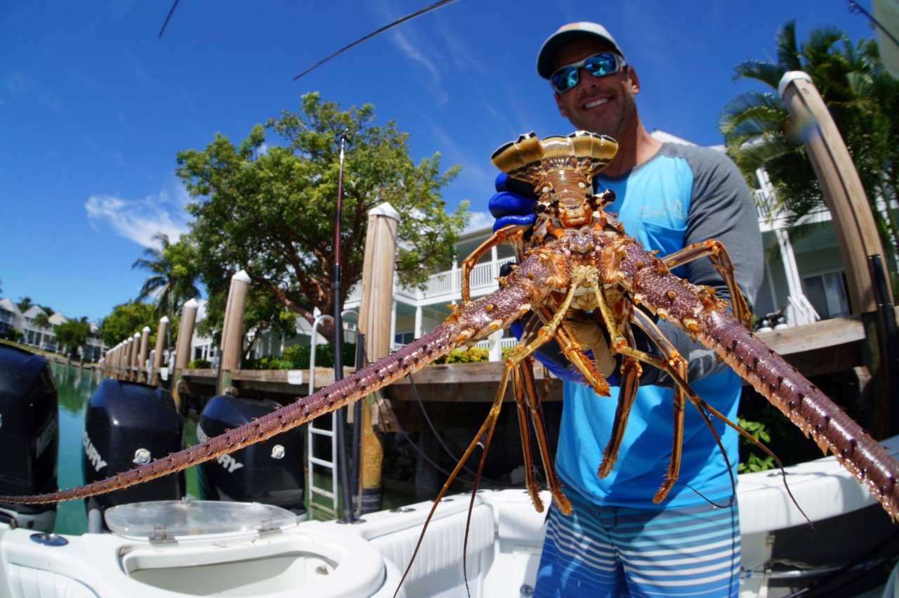 Lobstering 101