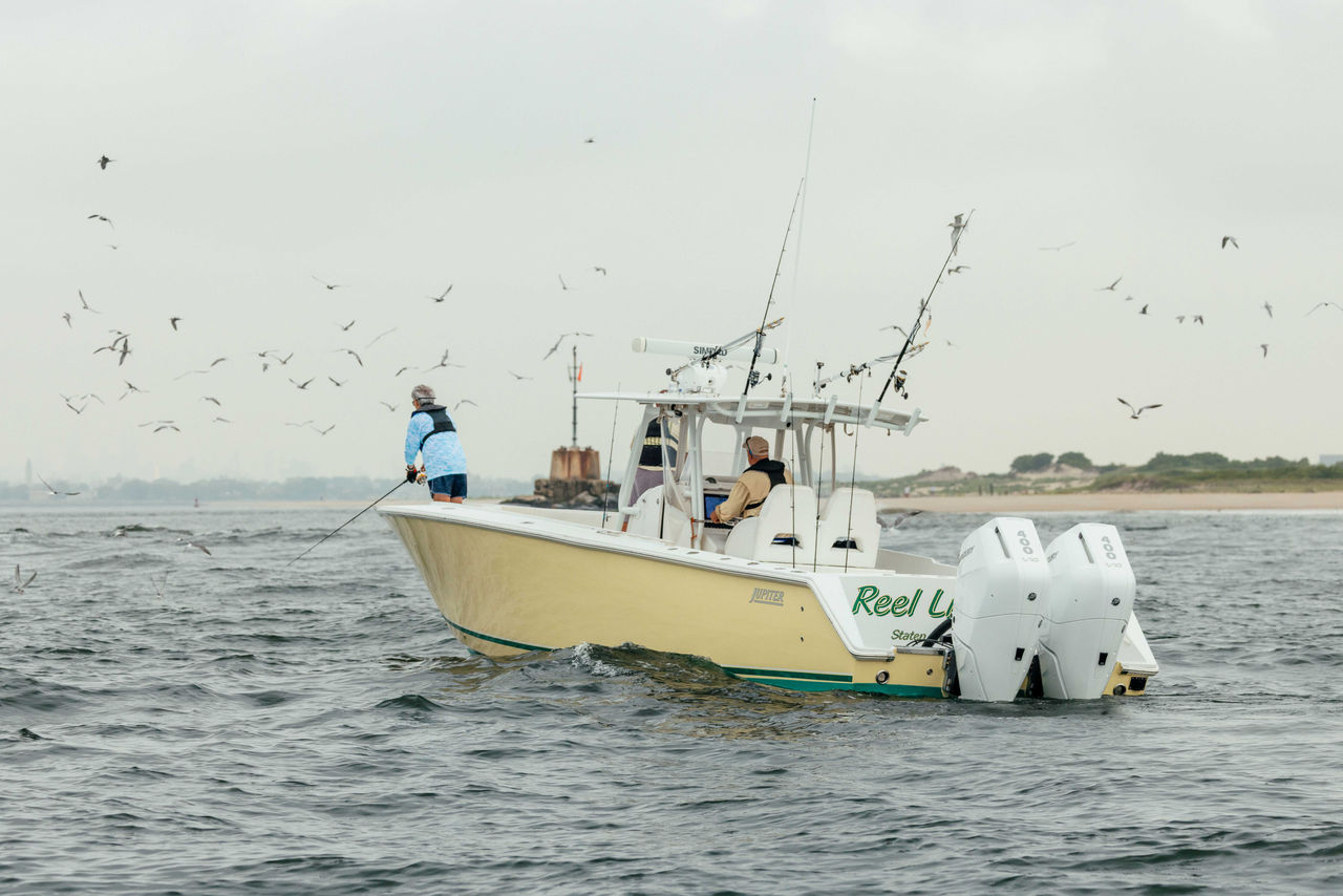 anglers fishing on a recently repowered boat surrounded by birds
