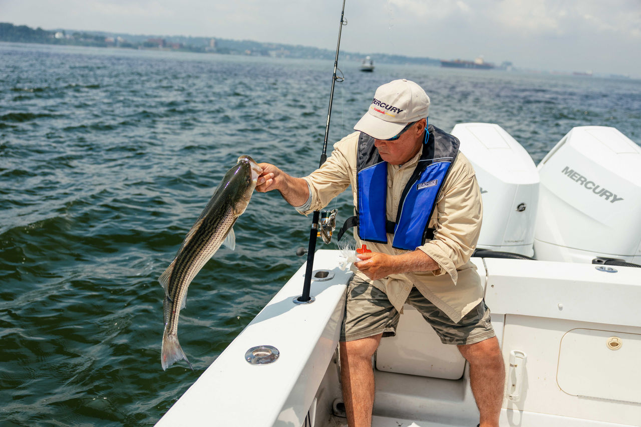an angler pulls in a fish