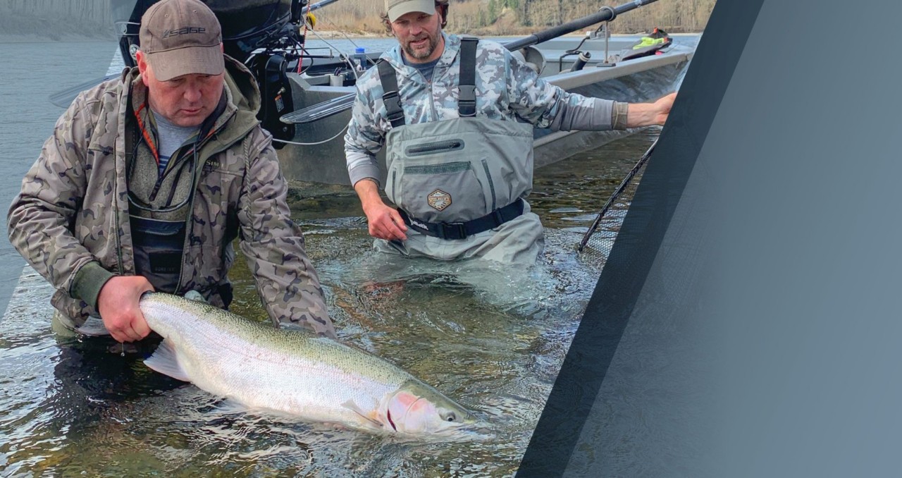 Hooking MORE Steelhead In One Day Than ALL Year!