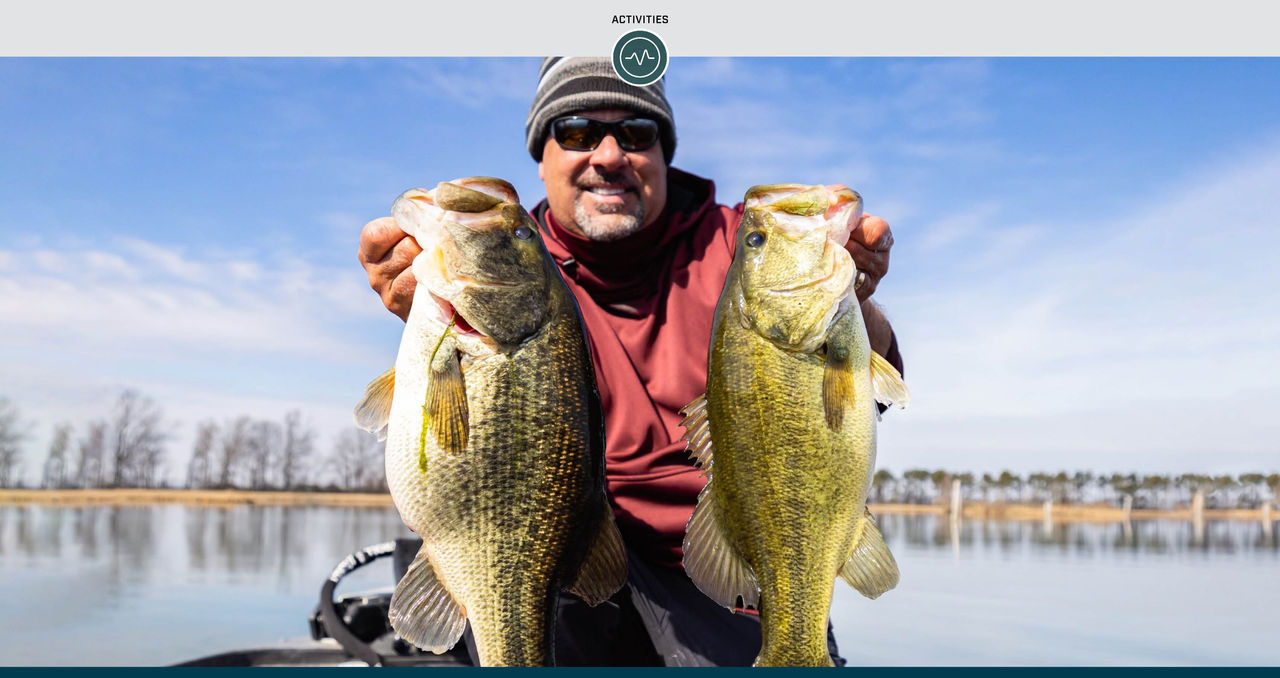Zona's Best Bass Bait for Cold Water