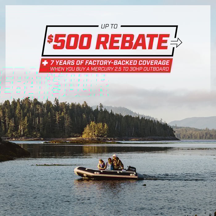 Portables Rebate Promotion