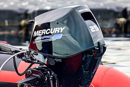 Mercury SeaPro Portable Promotion 